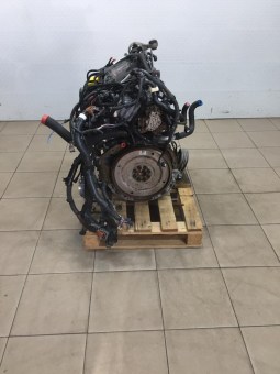 25075