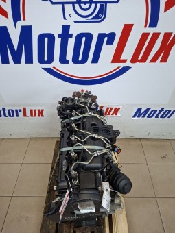 2951333