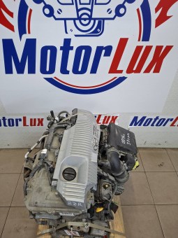 3455151