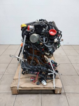 3647126