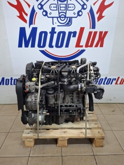 3704329