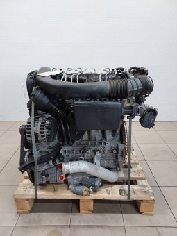 41037