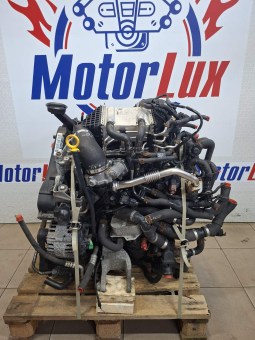 43040