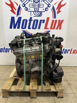 43743