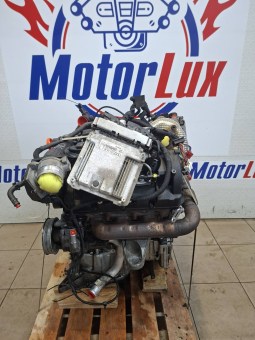 55729