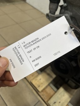 56560