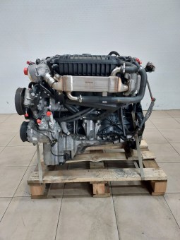 58445