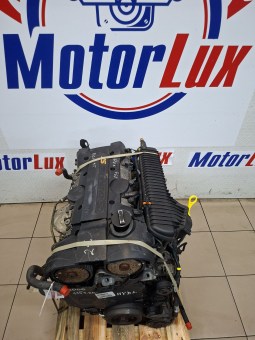64813